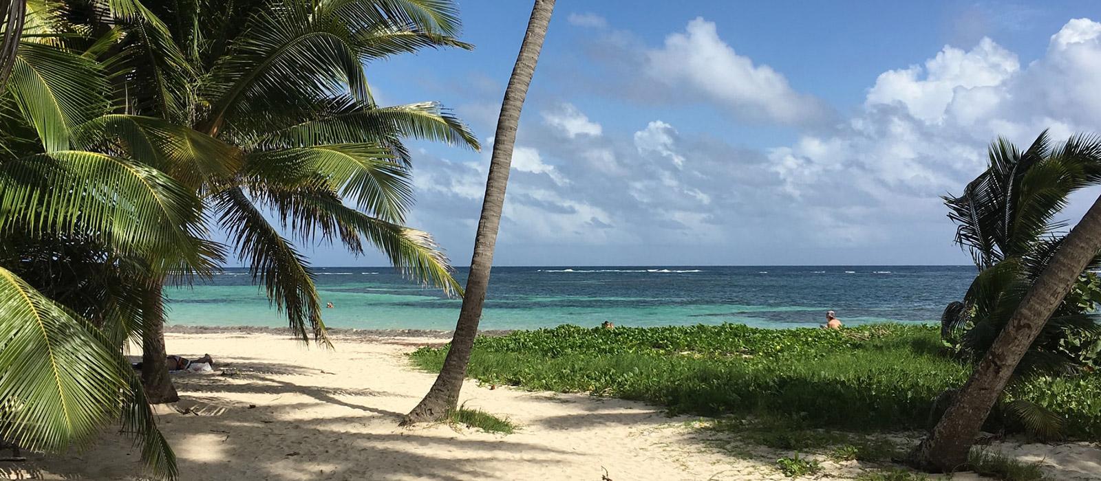 Antilles Liberte in Sainte-Anne, Martinique